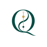 Logo QISA